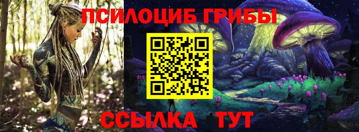купить  сайты  Псилоцибиновые грибы Psilocybe  Вход с VPN  Георгиевск 