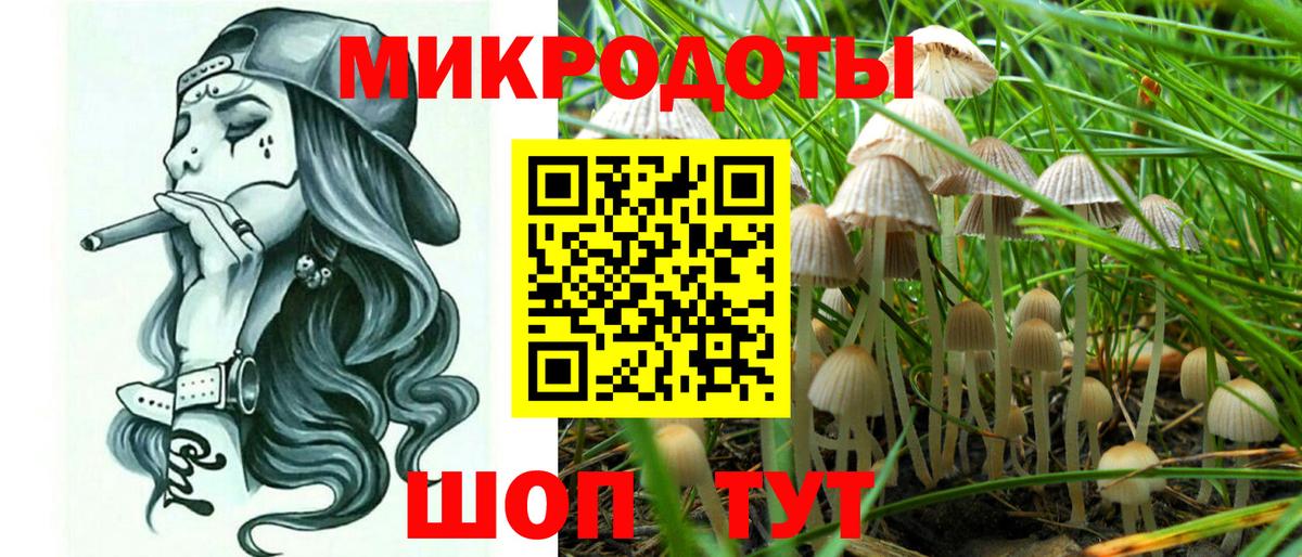 Галлюциногенные грибы Cubensis Георгиевск